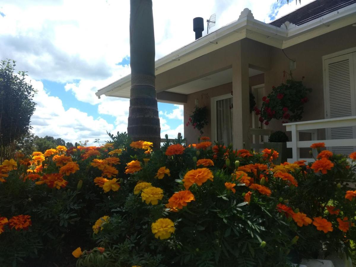 Casa Zanata Apartment Gramado Ngoại thất bức ảnh
